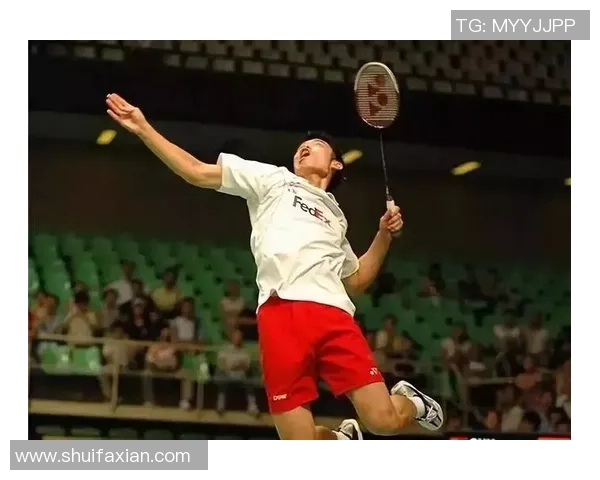 深入分析上海羽毛球队的进攻战术与技术特点